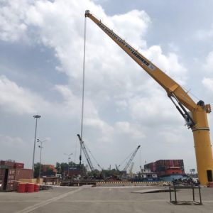 cẩu bờ cố định