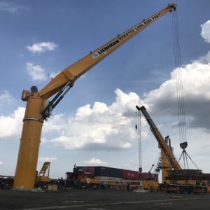 cẩu bờ cố định