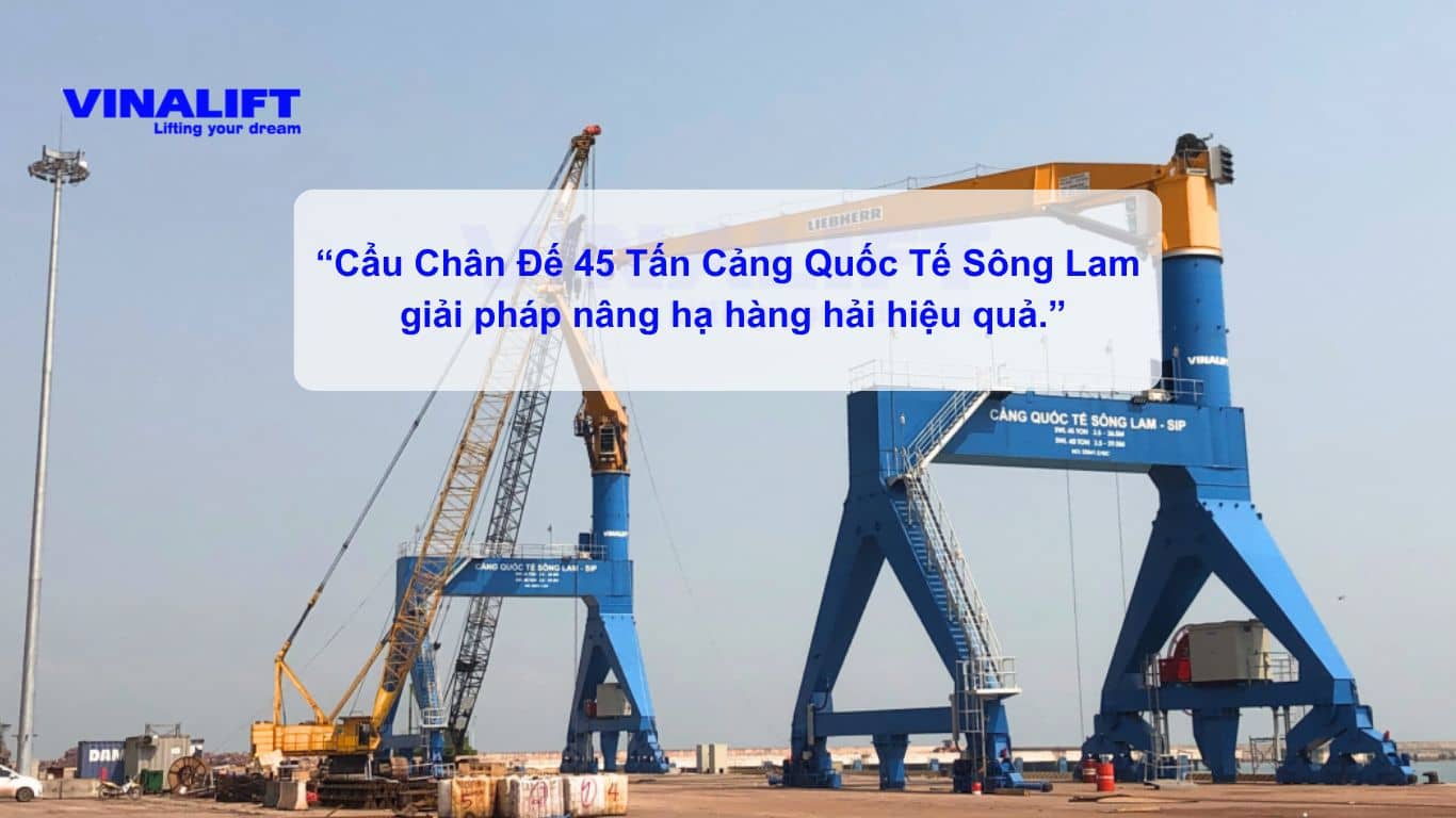 cẩu TTC - 280 40 tấn tại cảng quốc tế Long Sơn