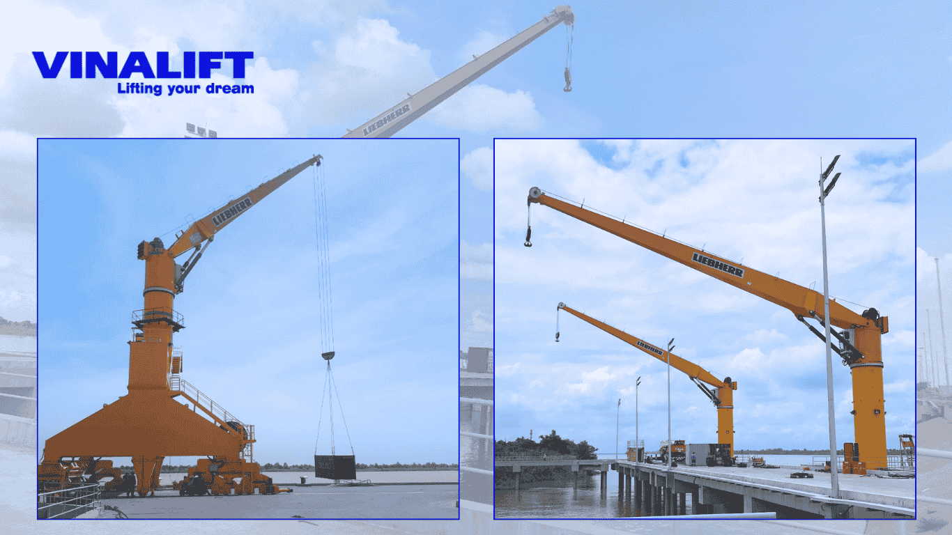 Cẩu cảng Liebherr CBW 230